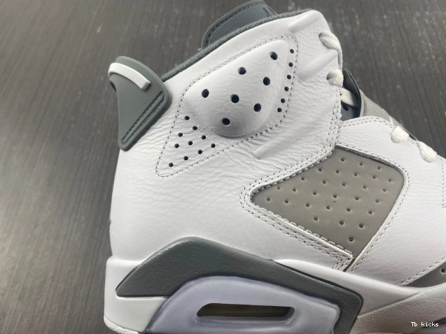 Reps TBK Air Jordan Grey CT8529-100 6 Cool 0706